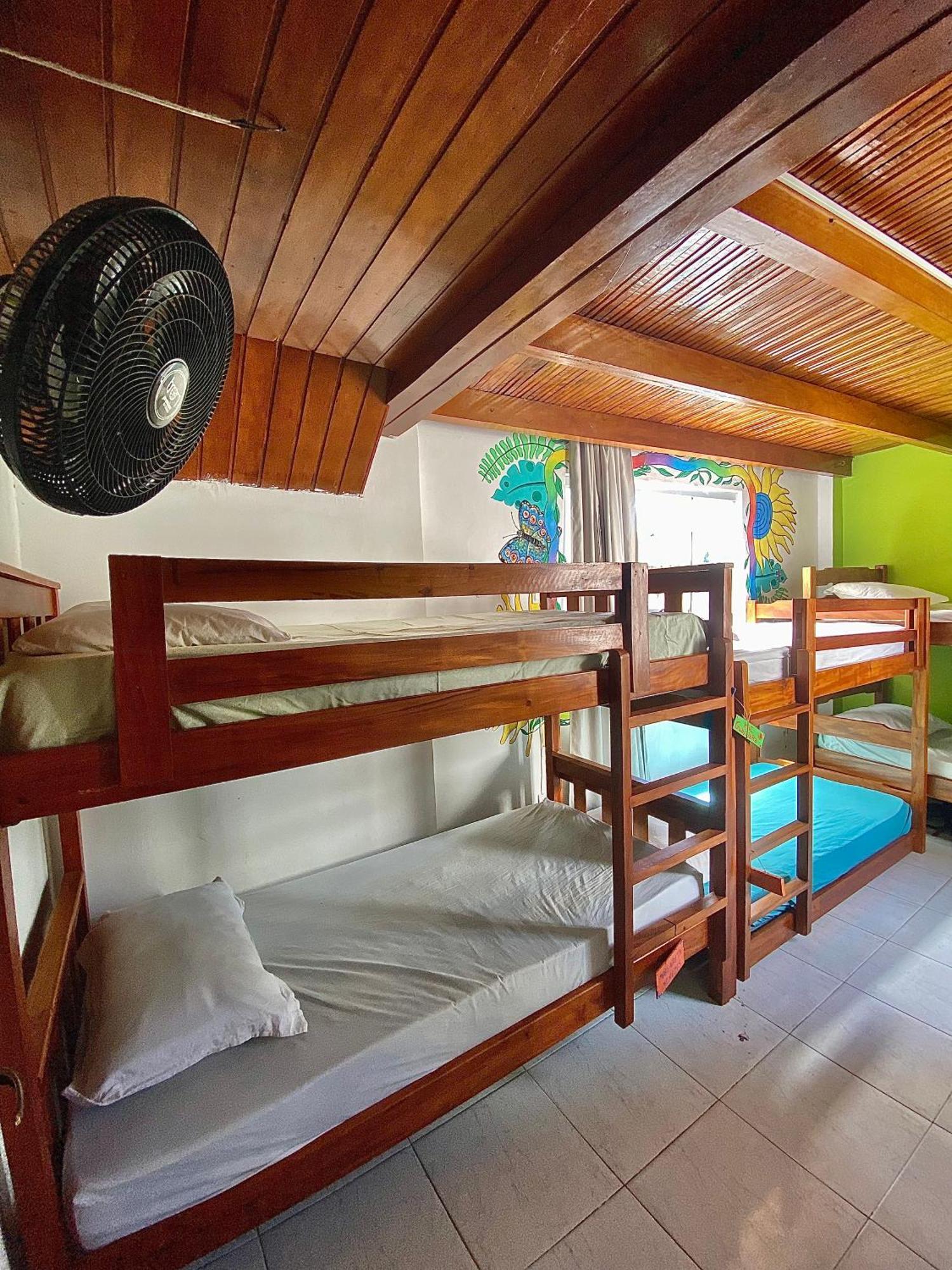 סלבאדור Casamarelo Hostel מראה חיצוני תמונה